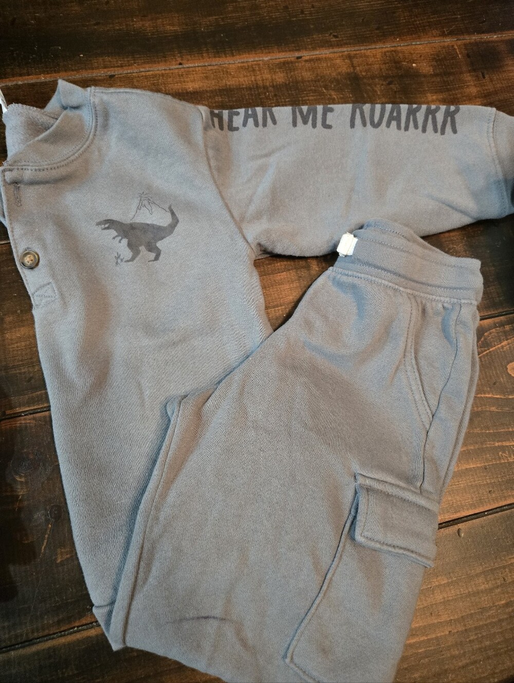 Dinosaur Sweatpants/Sweatshirt Matching Set